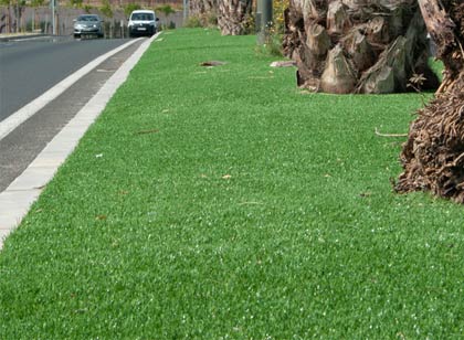 Proyecto césped artificial bicolor economico sena